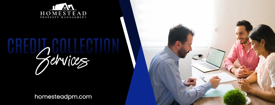 credit collection services